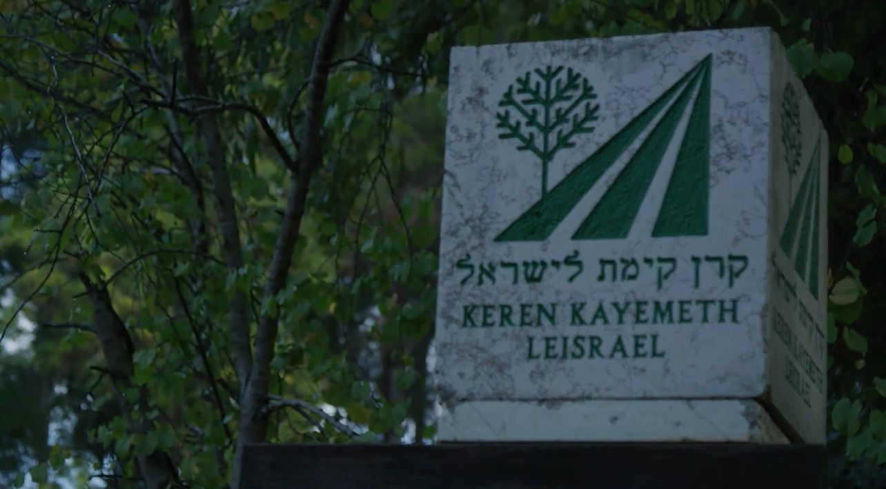 מחזירים אהבה ליערות ולסביבה | ט״ו בשבט ו-120 שנה לקק״ל