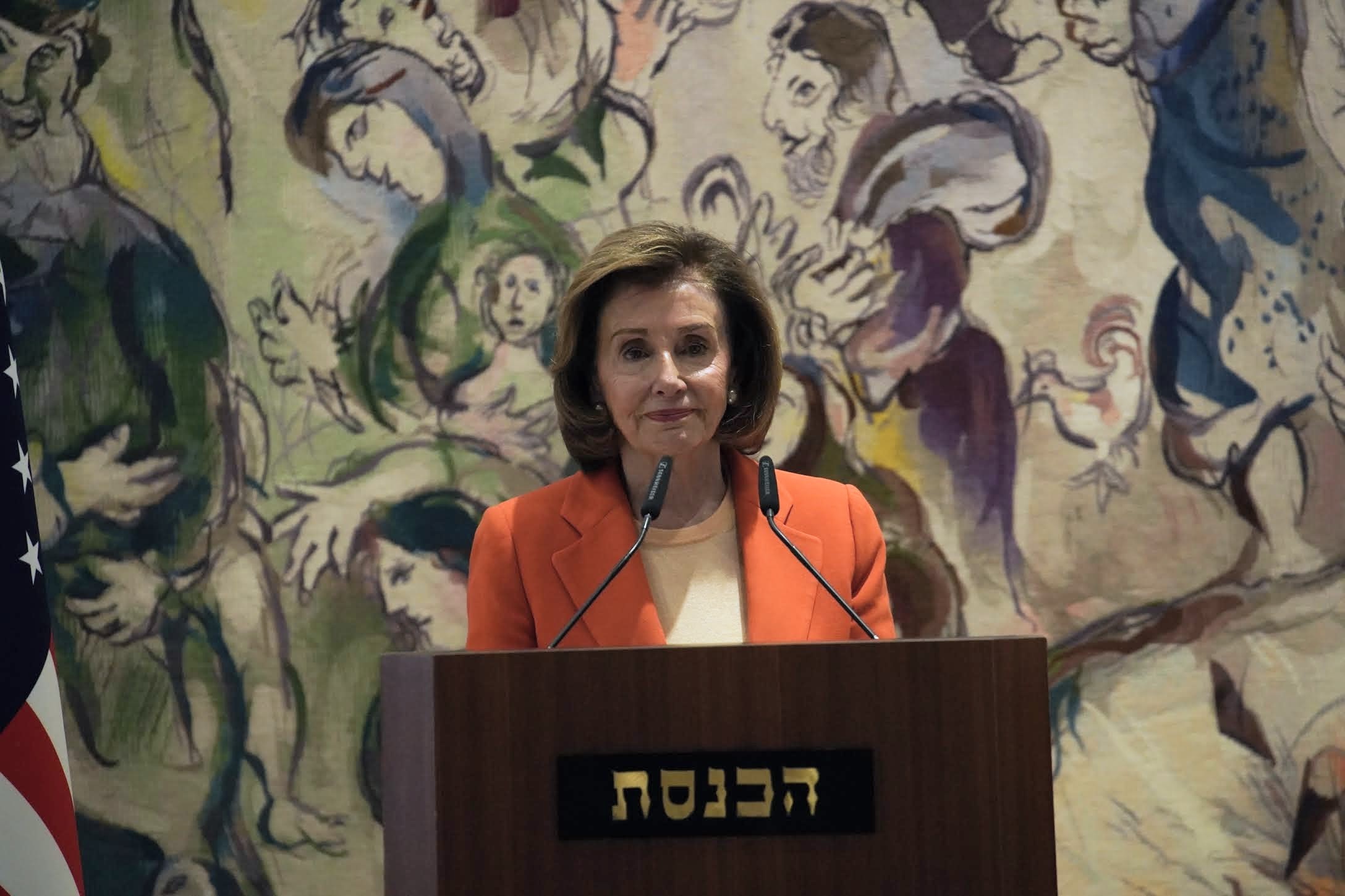 ננסי פלוסי בכנסת: "מחוייבים לפתרון שתי המדינות"