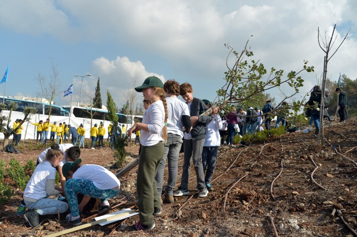 ארכיון. צילום: יוסי זעליגר פלאש 90