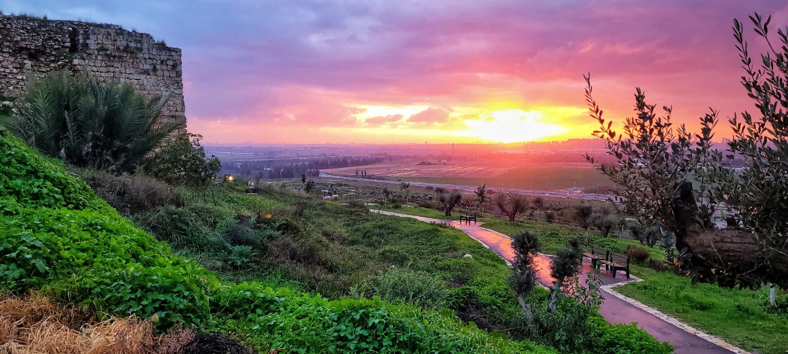 צילום: יניב כהן רשות הטבע והגנים