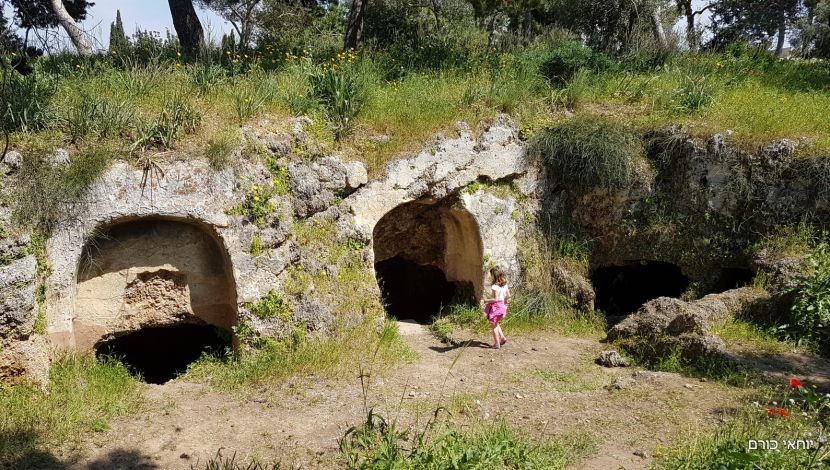 מכירים? המערות שנמצאות בלב הנדל״ן היוקרתי בשרון