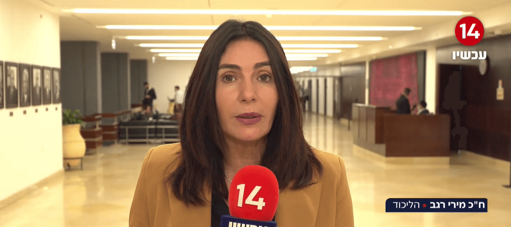 ח"כ מירי רגב: "מישהו פה השתגע, זאת מדינה בהקלטה" | צפו