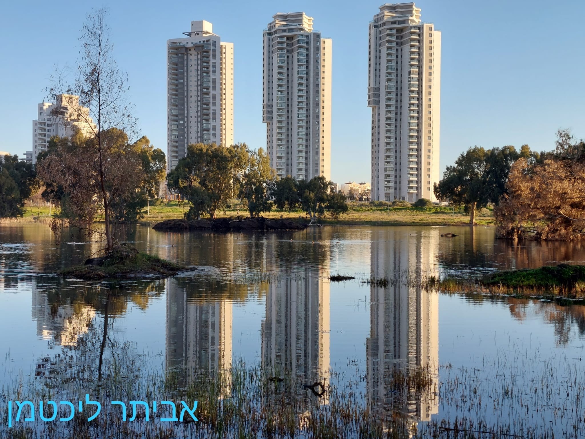 צילום: אביתר ליכטמן 
