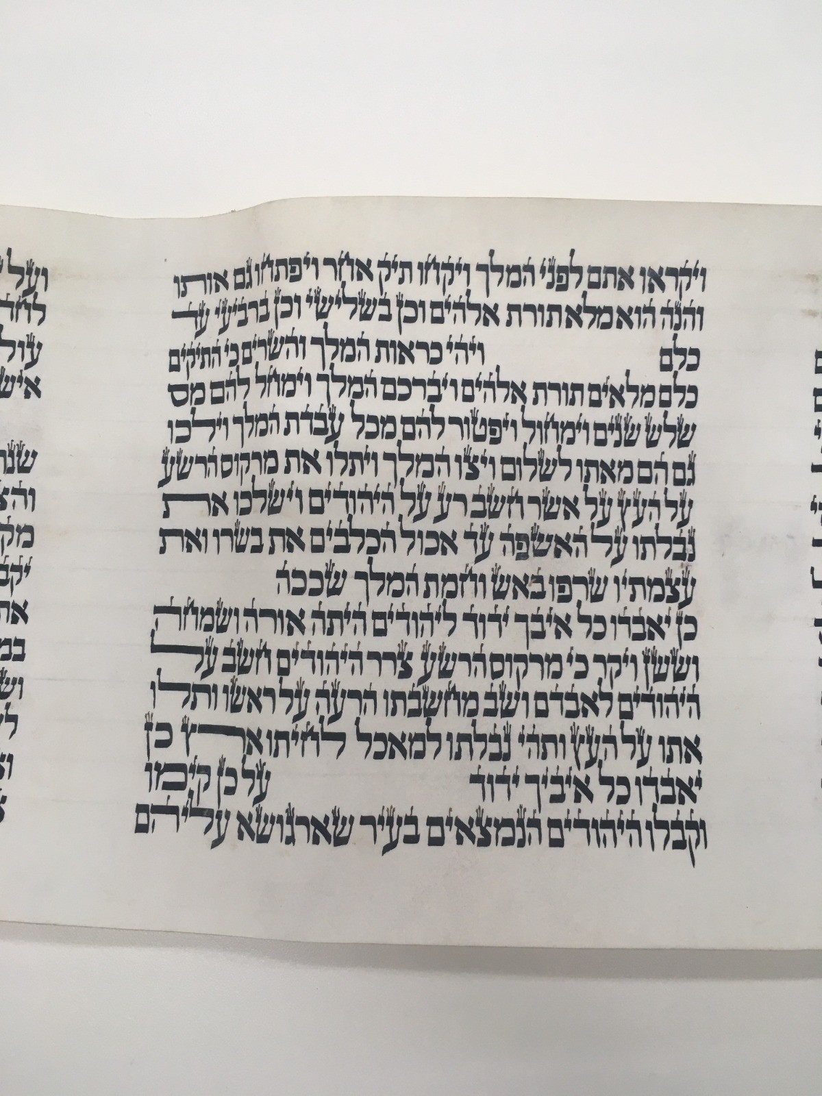 לכבוד חג הפורים: הספריה הלאומית מציגה את 'מגילת סרגוסה'