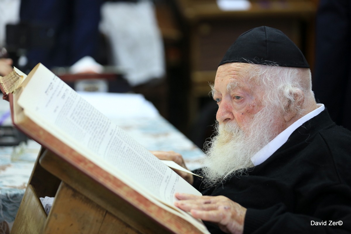 הרב קנייבסקי פסק: "העובר יוולד בריא ושלם" | צפו
