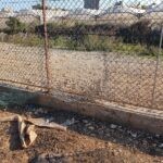 מחבל השחית את גדר הביטחון ליד קלקיליה – ונורה ע"י כוחותינו