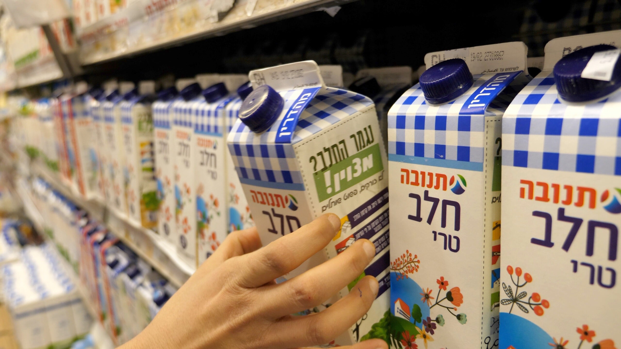 המשבר הבא? חשד לזיהום בקו הייצור של חברת תנובה | כל הפרטים