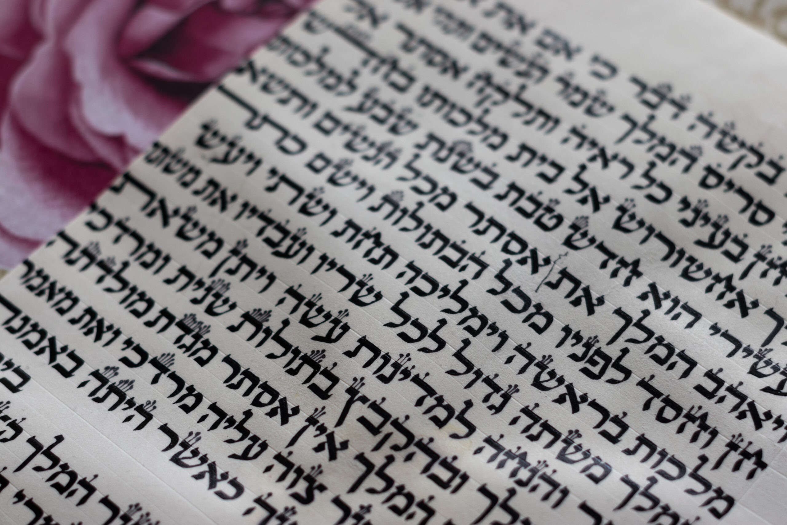 מגילת אסתר | צילום: שאטרסטוק