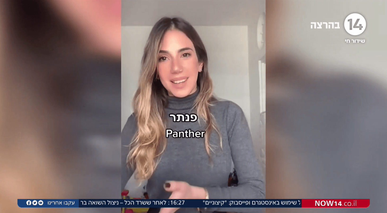 שיעור ויראלי: המורה לאנגלית שמלמדת בטיקטוק | צפו