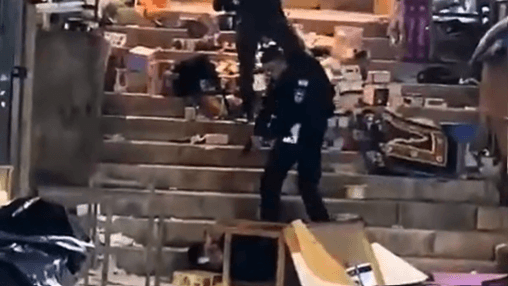 תיעוד מפיגוע הדקירה: השוטר הפצוע זועק, לוחמינו יורים במחבל