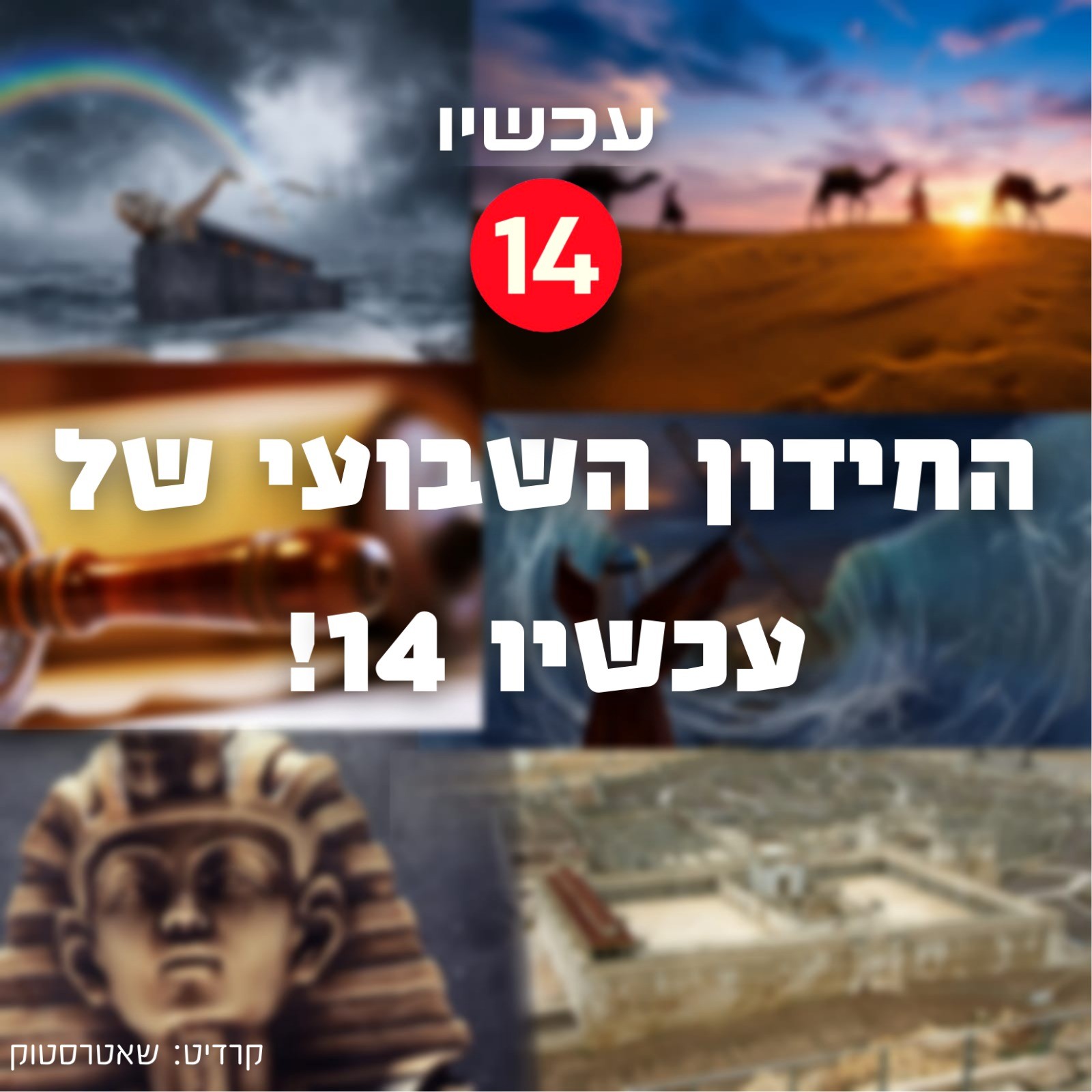 פרשת מצורע: האם אתם מכירים את הפרשה? בחנו את עצמכם
