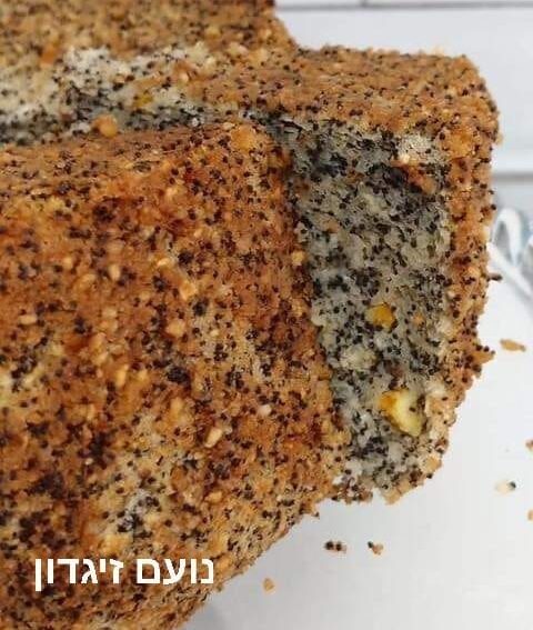 באדיבות נועם זיגדון