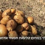 יום השואה: "בכיתי לקול זעקות הורי שנשרפו" | סיפורה של רבקה
