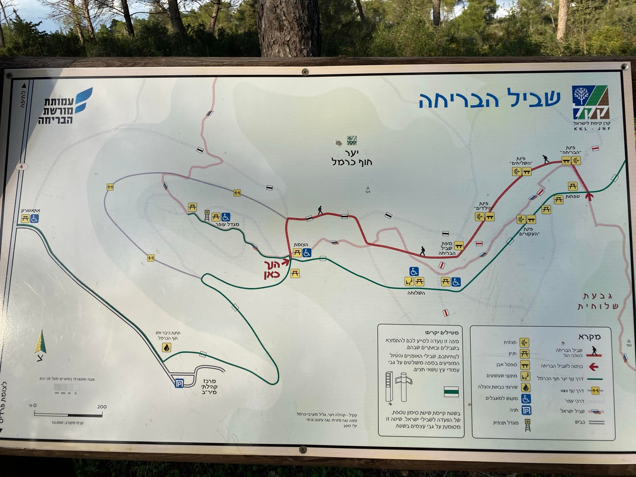 המלצה: השביל שמנציח את גבורתם של ניצולי השואה במסעם לארץ