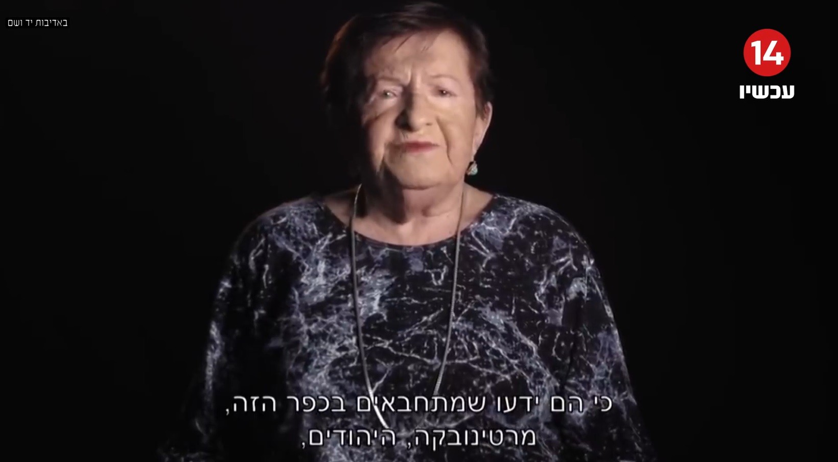החלום של אמא - סיפורה של מרים וודיסלבסקי
