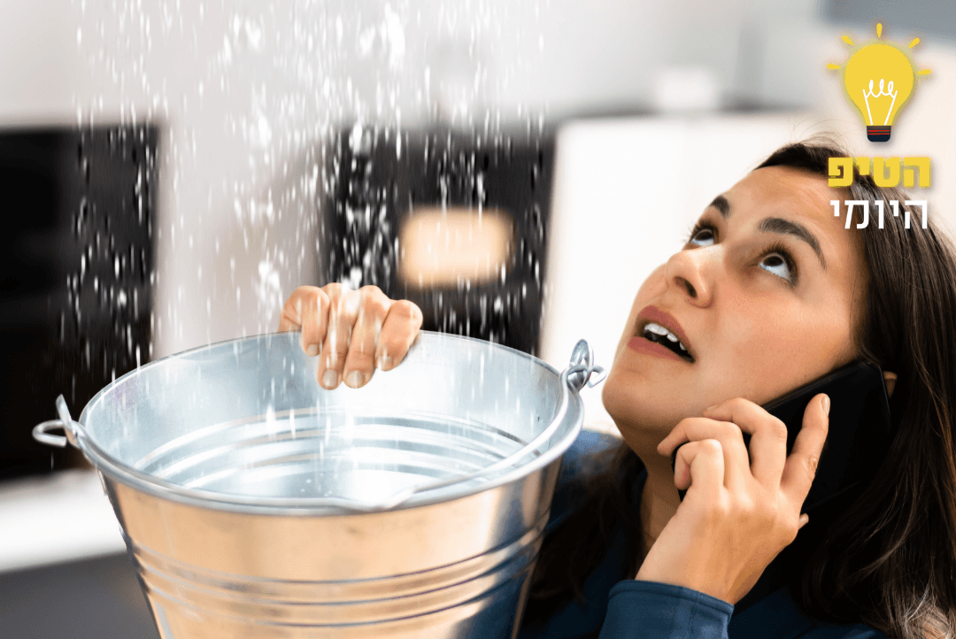 צילום: שאטרססטוק
