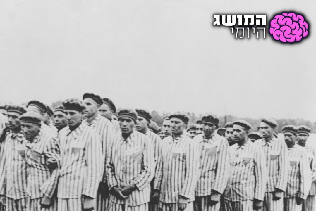 צילום: שאטרסטוק