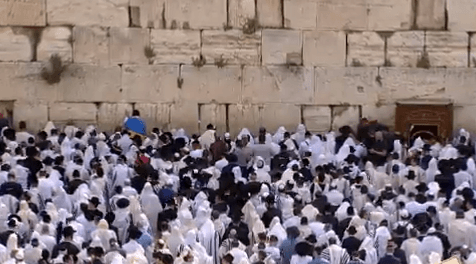 תפילות ושיעורי תורה: רבבות פקדו את הרחבה הדרומית של הכותל