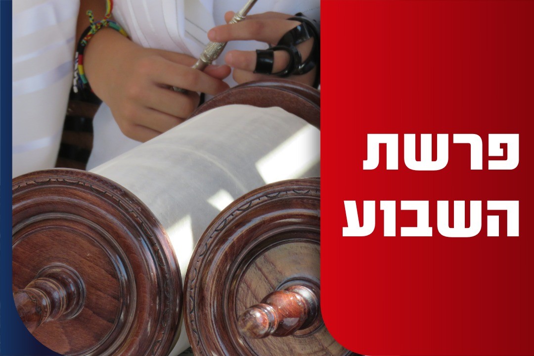 פרשת מטות: להשקיע בכסף או להשקיע בילדים? התלבטות?!