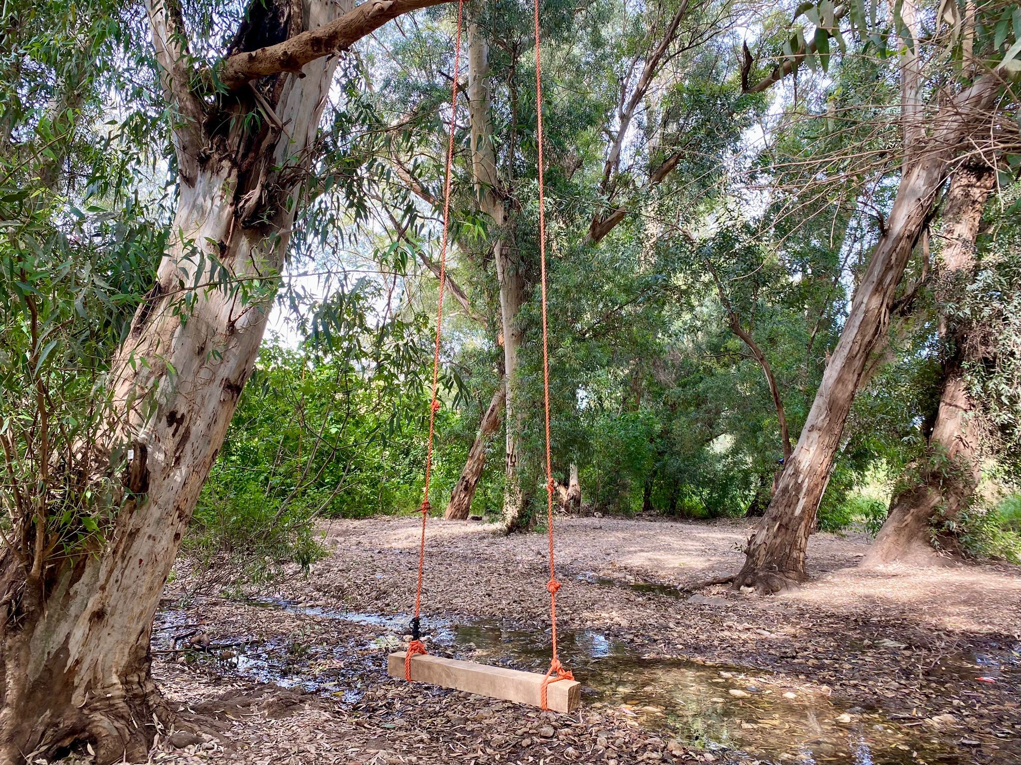 המלצה: מחפשים מקום מדהים, עם נדנדה על המים והרבה שקט?