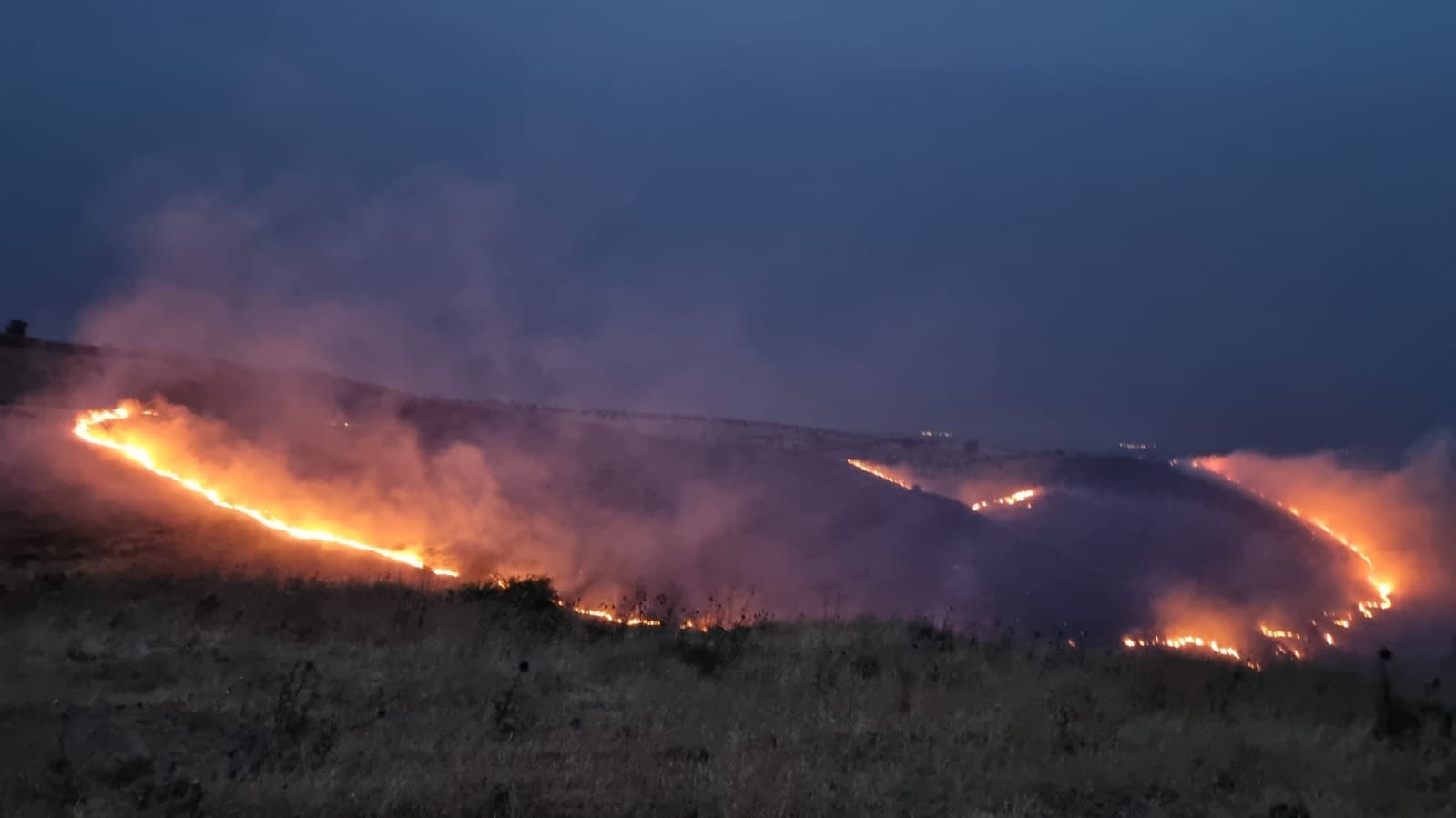 צילום: ודברות כבאות והצלה