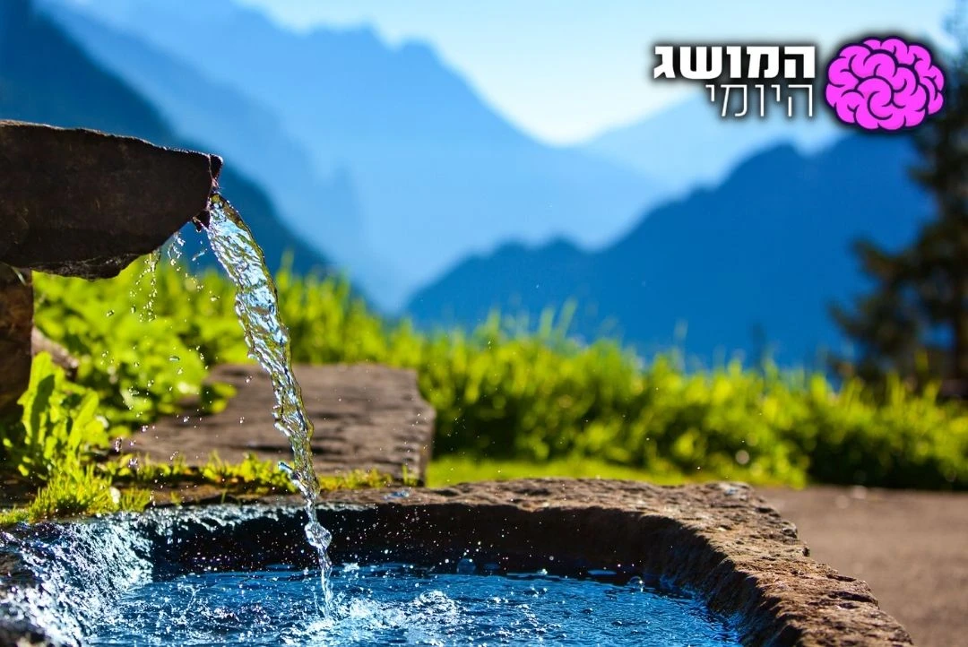זה המעיין הכי חשוב בירושלים, ויש לזה סיבה: הכירו את הגיחון
