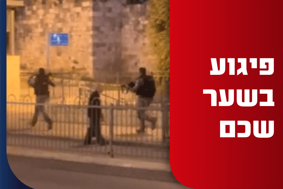פיגוע דקירה בשער שכם: שוטר נפצע באורח בינוני - המחבל נוטרל