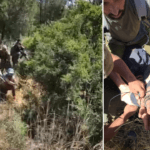 תם המצוד: נתפסו המחבלים שביצעו את הפיגוע באלעד