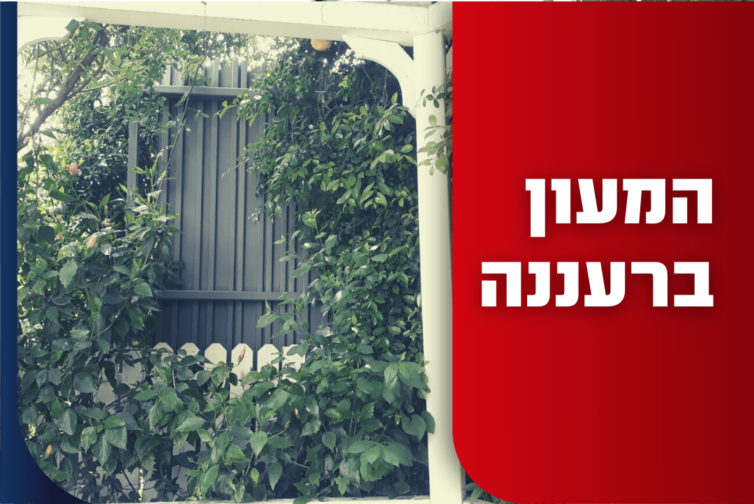 למרות שלא התקבלו אישורי בנייה: העבודות ברעננה נמשכות
