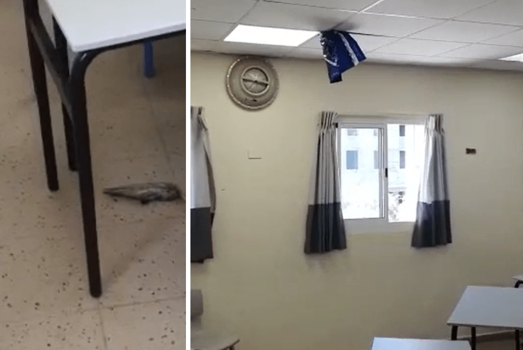 תיעוד מטריד: האם המחבלים שהו בשבת בבי"ס בתוך אלעד?
