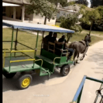 צעירים ערבים התפרעו עם כרכרות בכפר מסריק ואיימו על התושבים | תיעוד