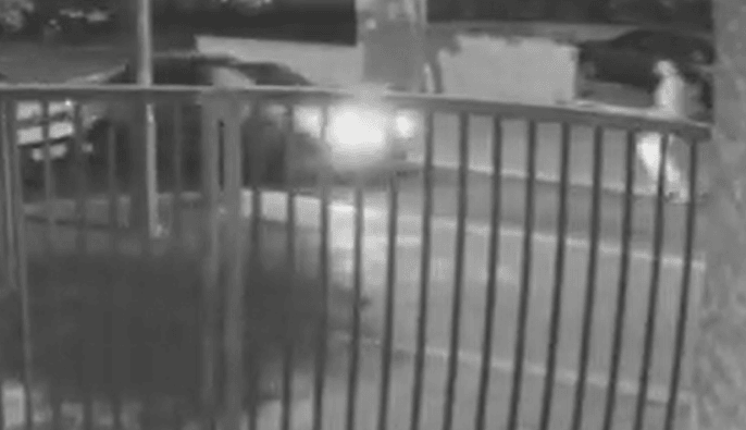 תיעוד מרגעי הפיגוע: המחבלים רצים עם גזרן ומכים ברכב