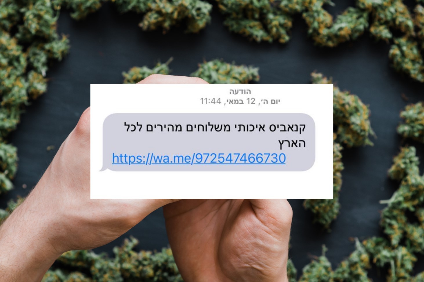 לא מפסיקים לקבל הודעות לרכישת קנאביס? יש לנו בשורה משמחת