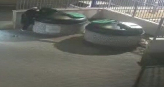 קורע לב: הנעדרת שאותרה ללא רוח חיים - תועדה מחפשת מזון בפחים