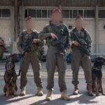 הצעת חוק חשובה: "להכיר בתרומת הכלבים ששירתו במערכת הביטחון"