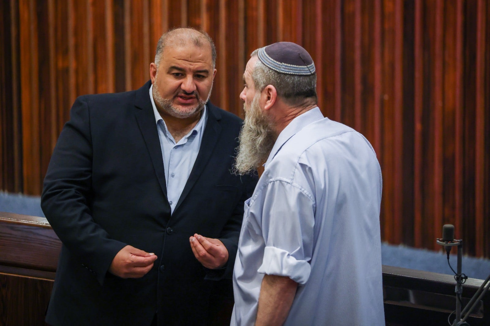 חברי הכנסת מנסור עבאס ואבי מעוז. ארכיון. צילום: נעם מושקוביץ דוברות הכנסת