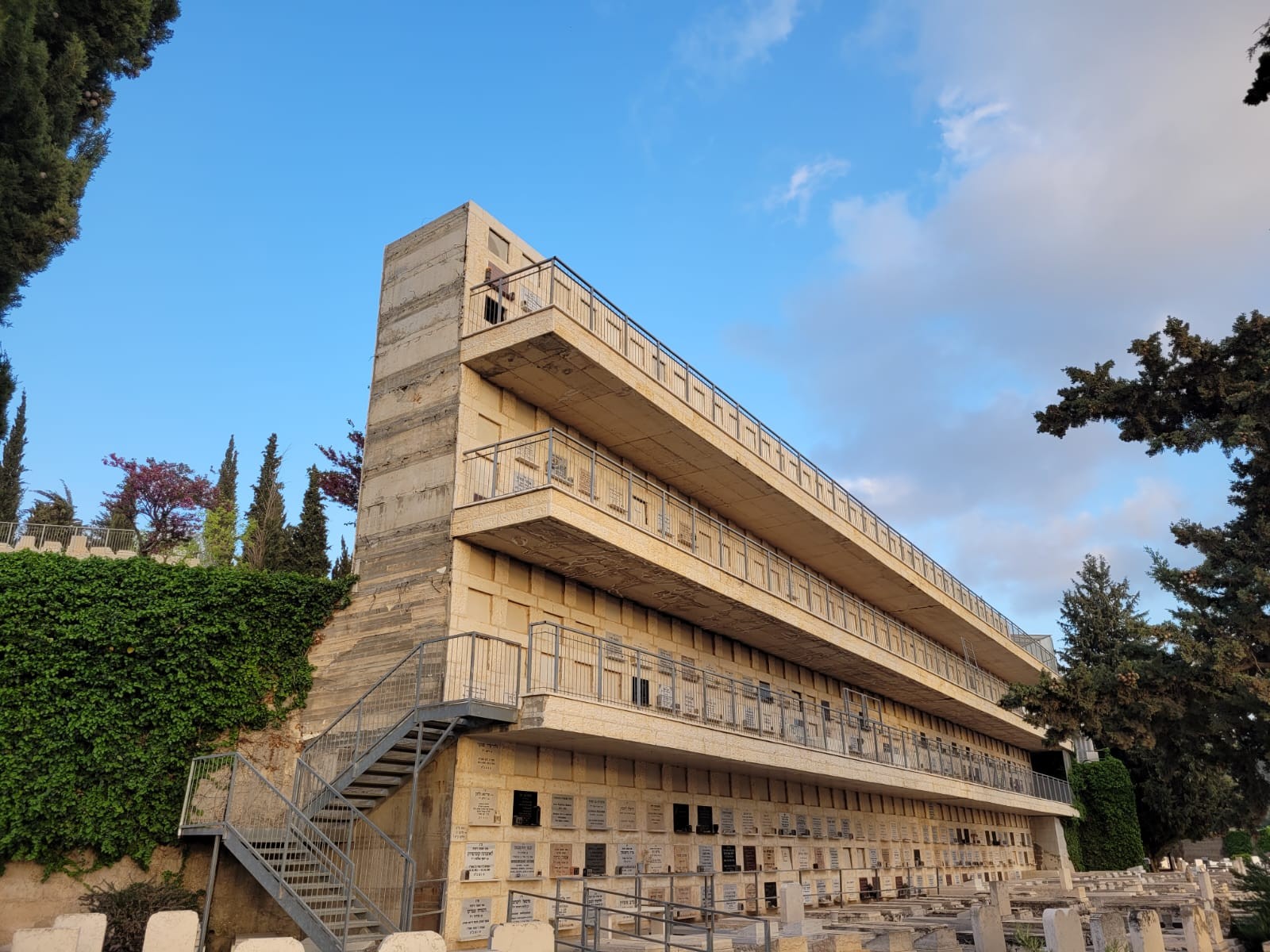 מדהים: באופן נדיר - ציפור קיננה בקברו של מטפל בחיות בר