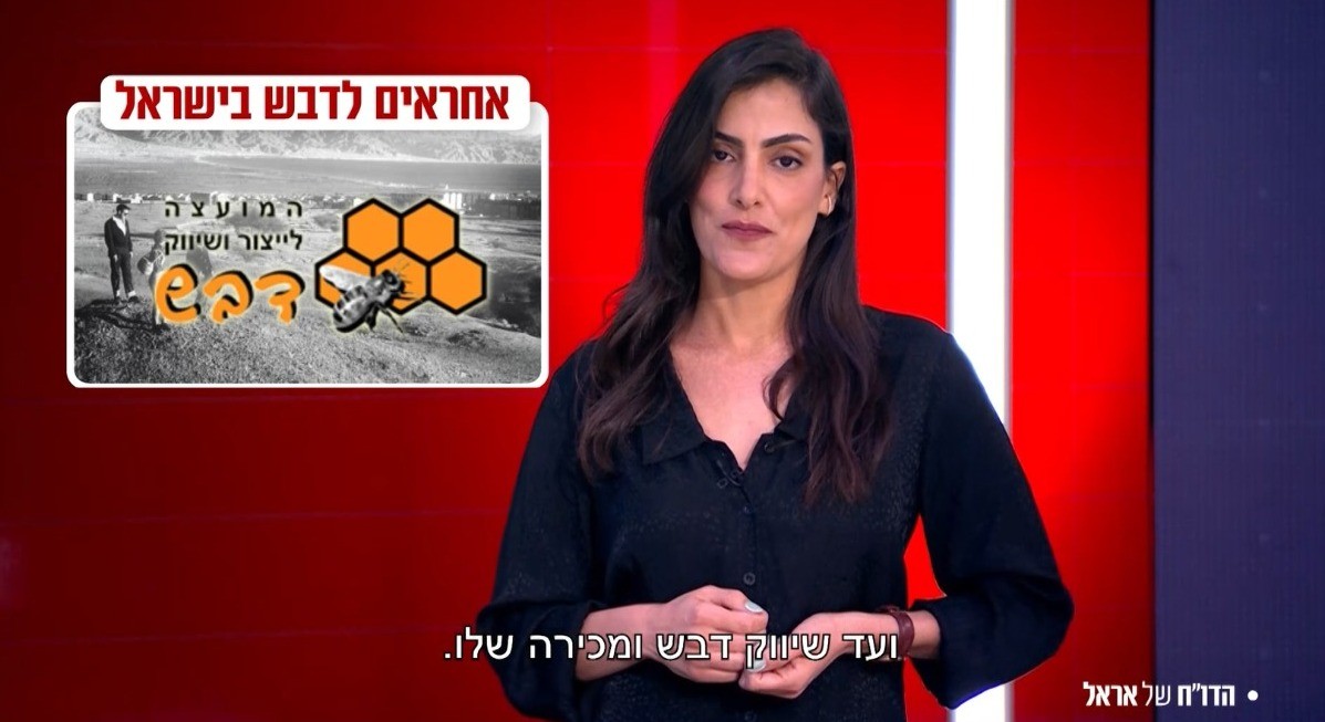 מועצת הדבש ו"המנהל" של הדבורים בישראל - עוקצים אתכם פעמיים