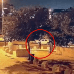 תיעוד: מחבלים משליכים בקת"בים לעבר ביתו של הרב דב ליאור