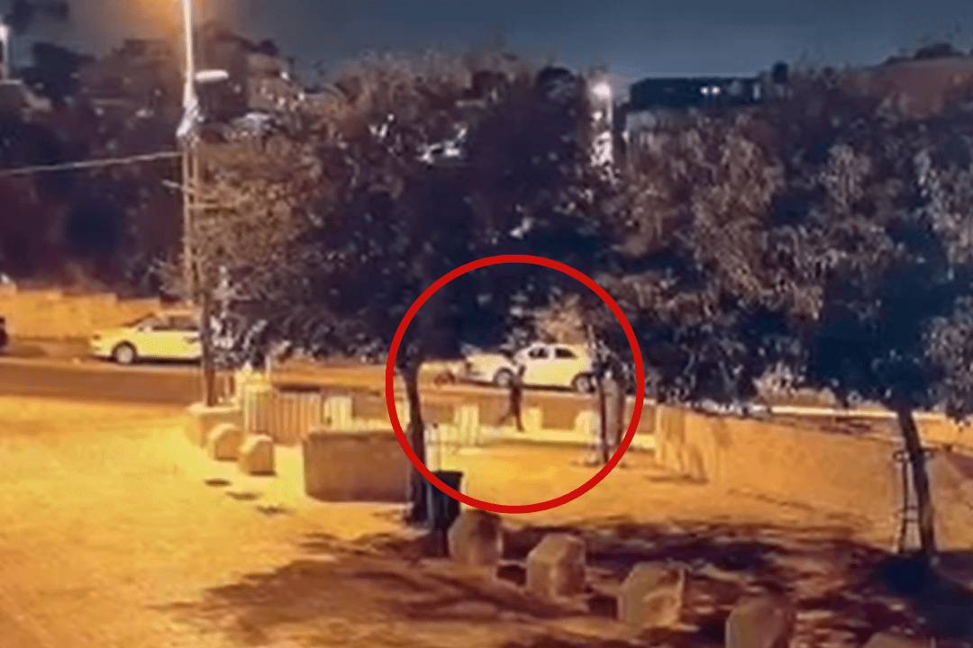 צילום: צילום מסך מהסרטון, קרדיט: בטחון בית אורות