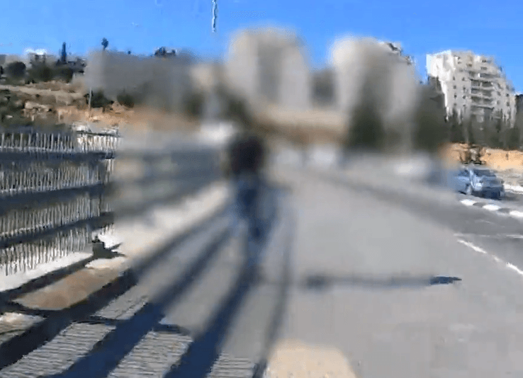 צילום: צילום מסך מהסרטון.