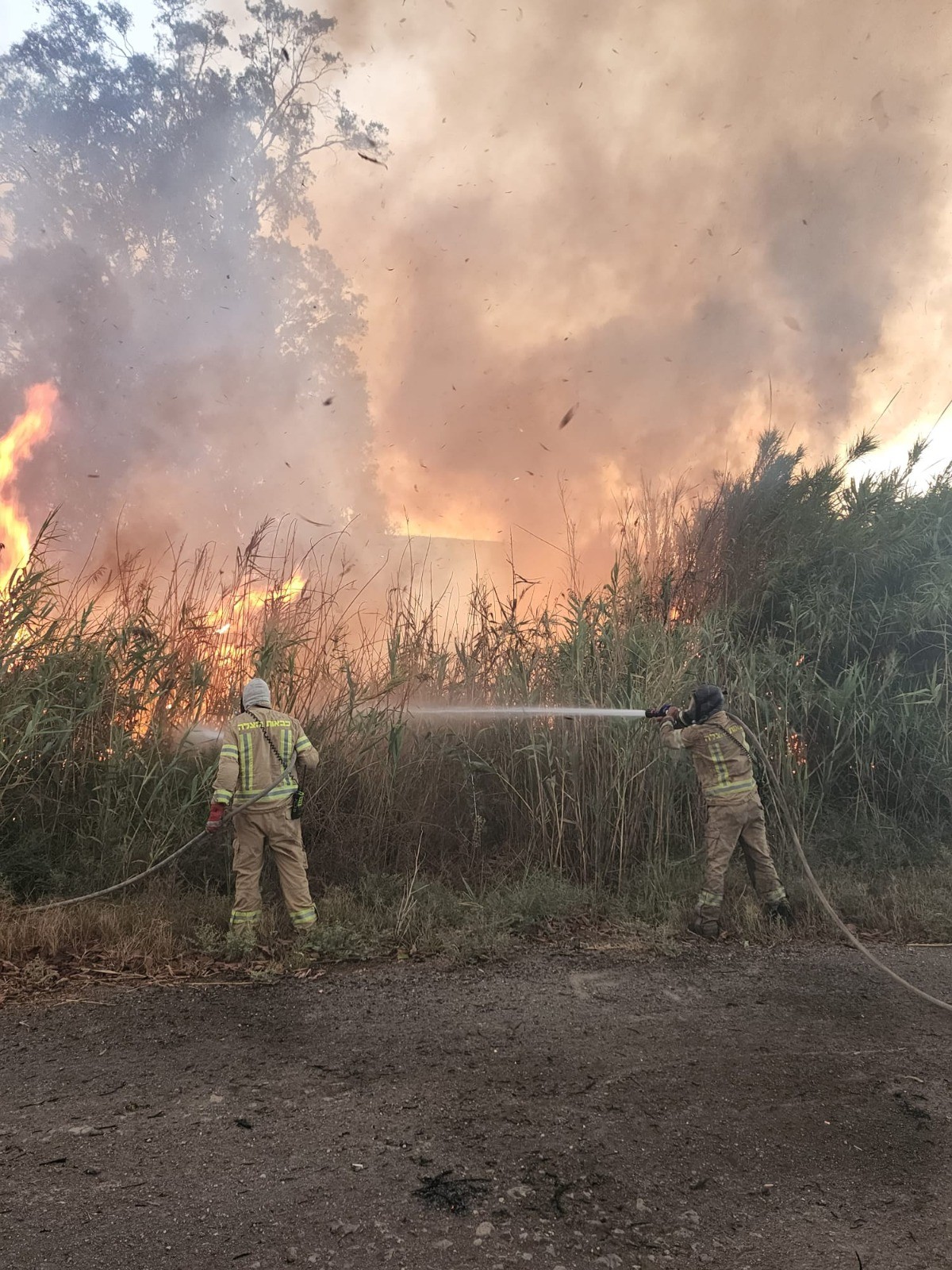 שריפה סמוך לאפיקים: מטוסים הוזנקו, לא הושגה שליטה על האש