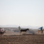 מתנת בחירות: מי רוצה להכפיל את שטחה של העיירה כסייפה?