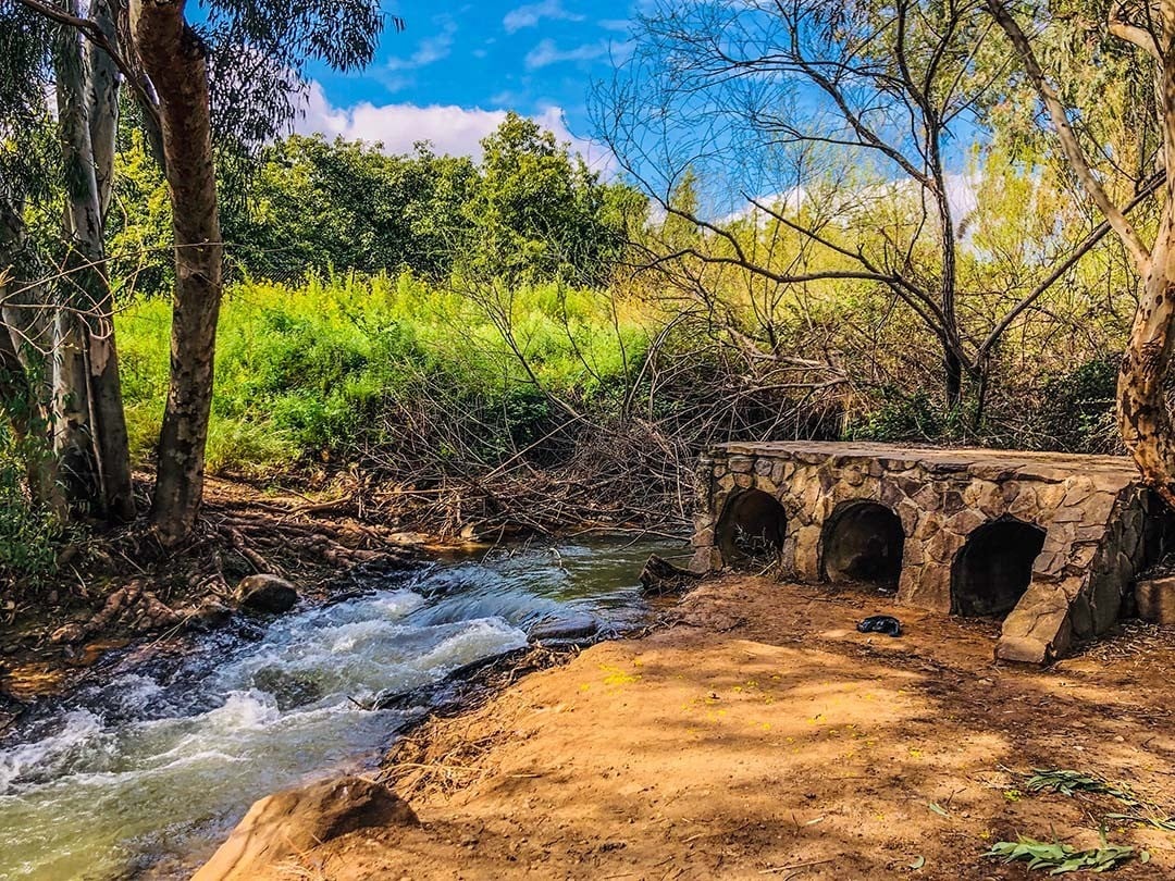 אוהבים לעשות פק"ל קפה בטבע? הנה ארבעה מקומות מומלצים במיוחד