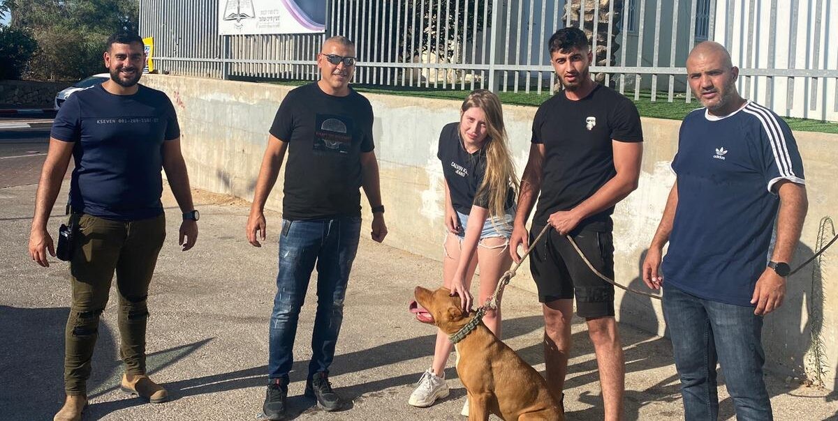 הכלב נגנב מהחצר - המשטרה איתרה: צפו במפגש המרגש עם הבעלים