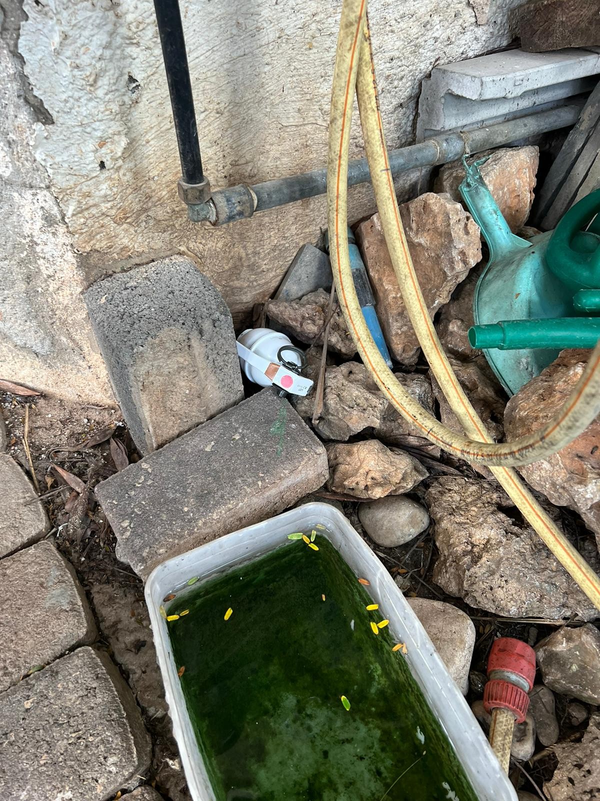 רימוני אימונים הוסבו למטען חבלה - ונמצאו בחצר בית בחיפה