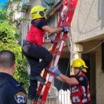 כלב ננעל בין תריסי החלון לסורגים – וחולץ | תיעוד