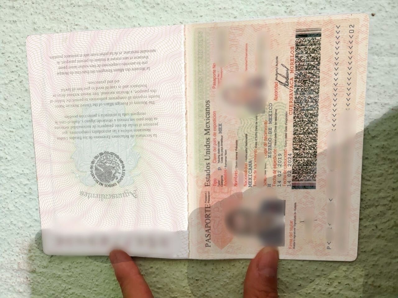 התכשיטים, המלונות ומופע של זמר מוכר: נחשף 'העוקץ המקסיקני'