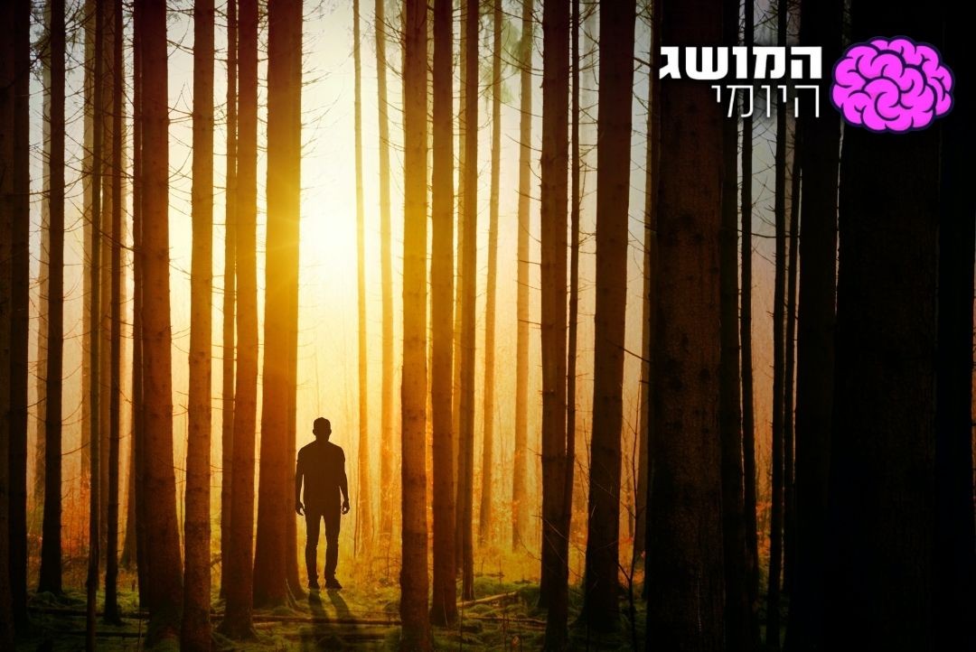 צילום: pexels