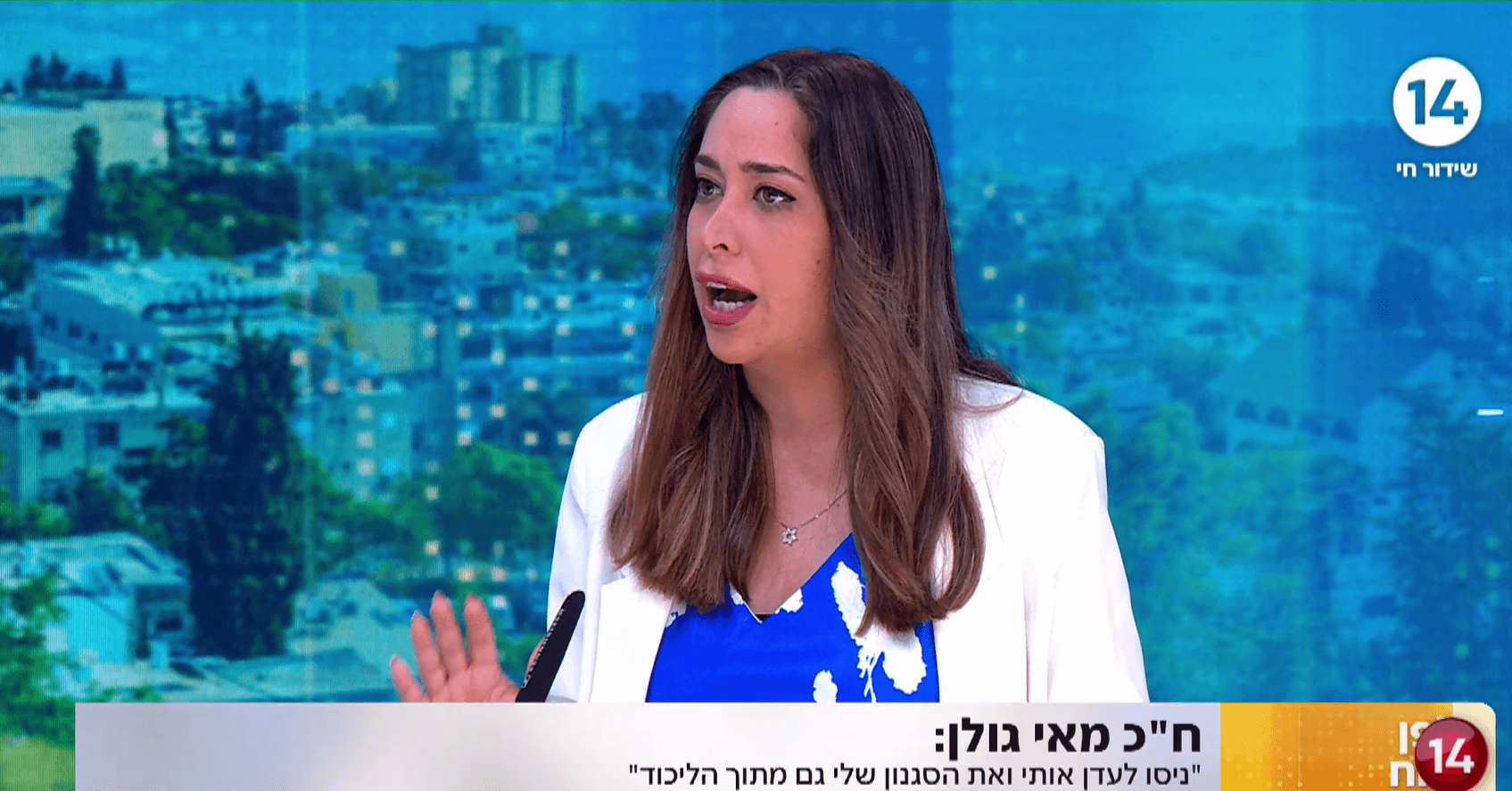 מאי גולן: "ניסו לעדן אותי ואת הסגנון שלי גם בליכוד"